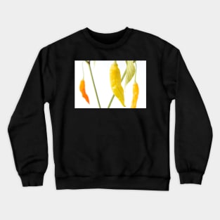 Capsicum baccatum  &#39;Havana Gold&#39;  Chili Pepper Crewneck Sweatshirt